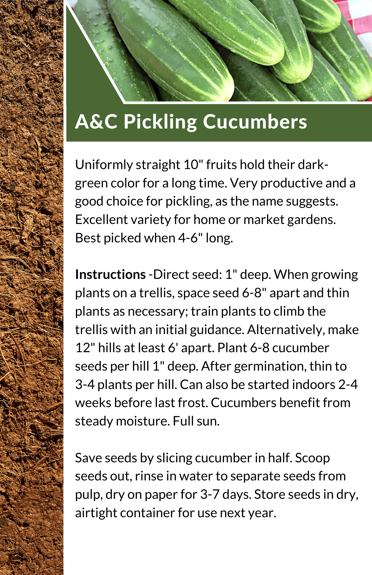 2023 Seed Library - A and C Pickling Cucumbers