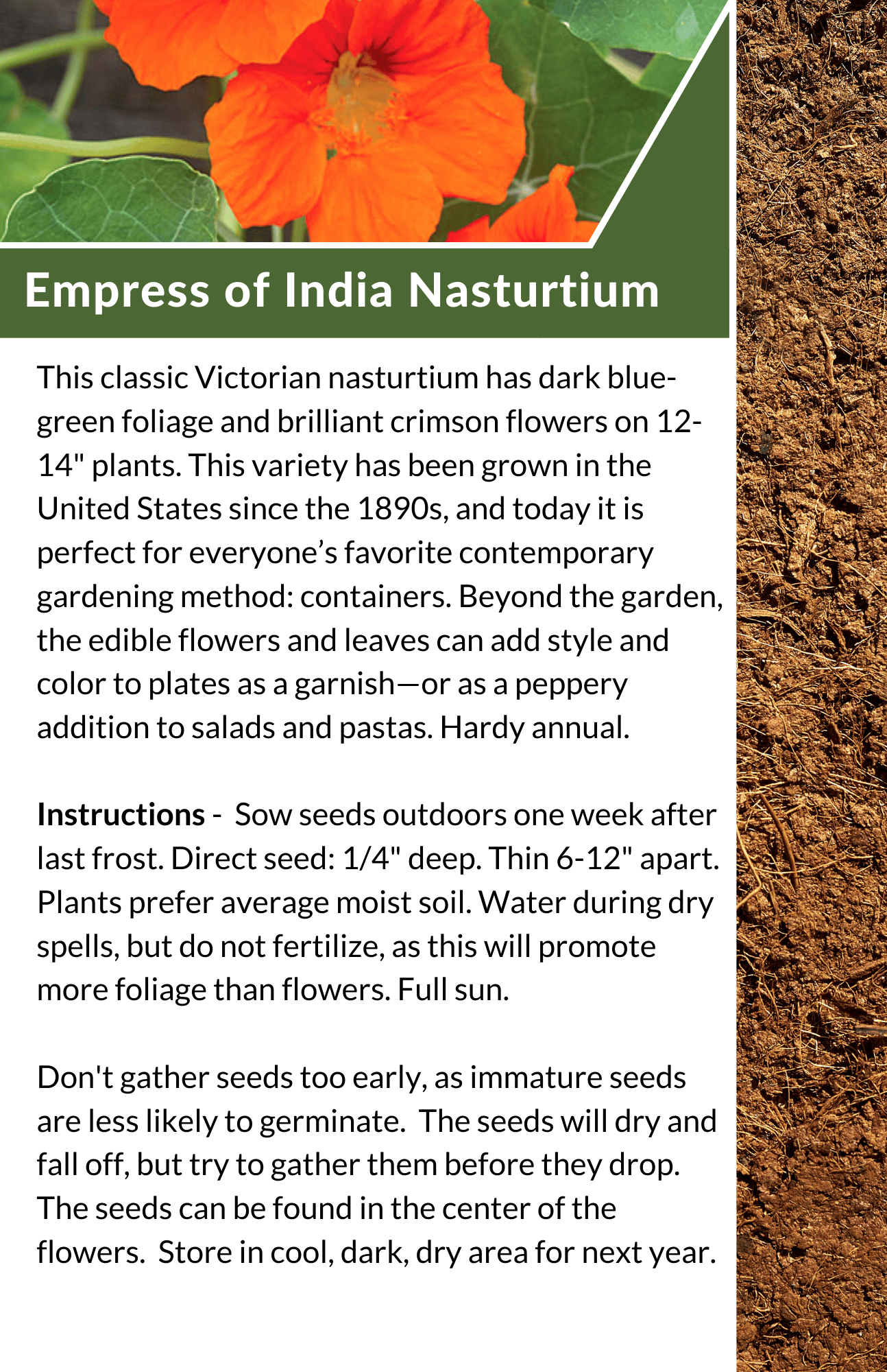 2023 Seed Library - Empress of India Nasturtium