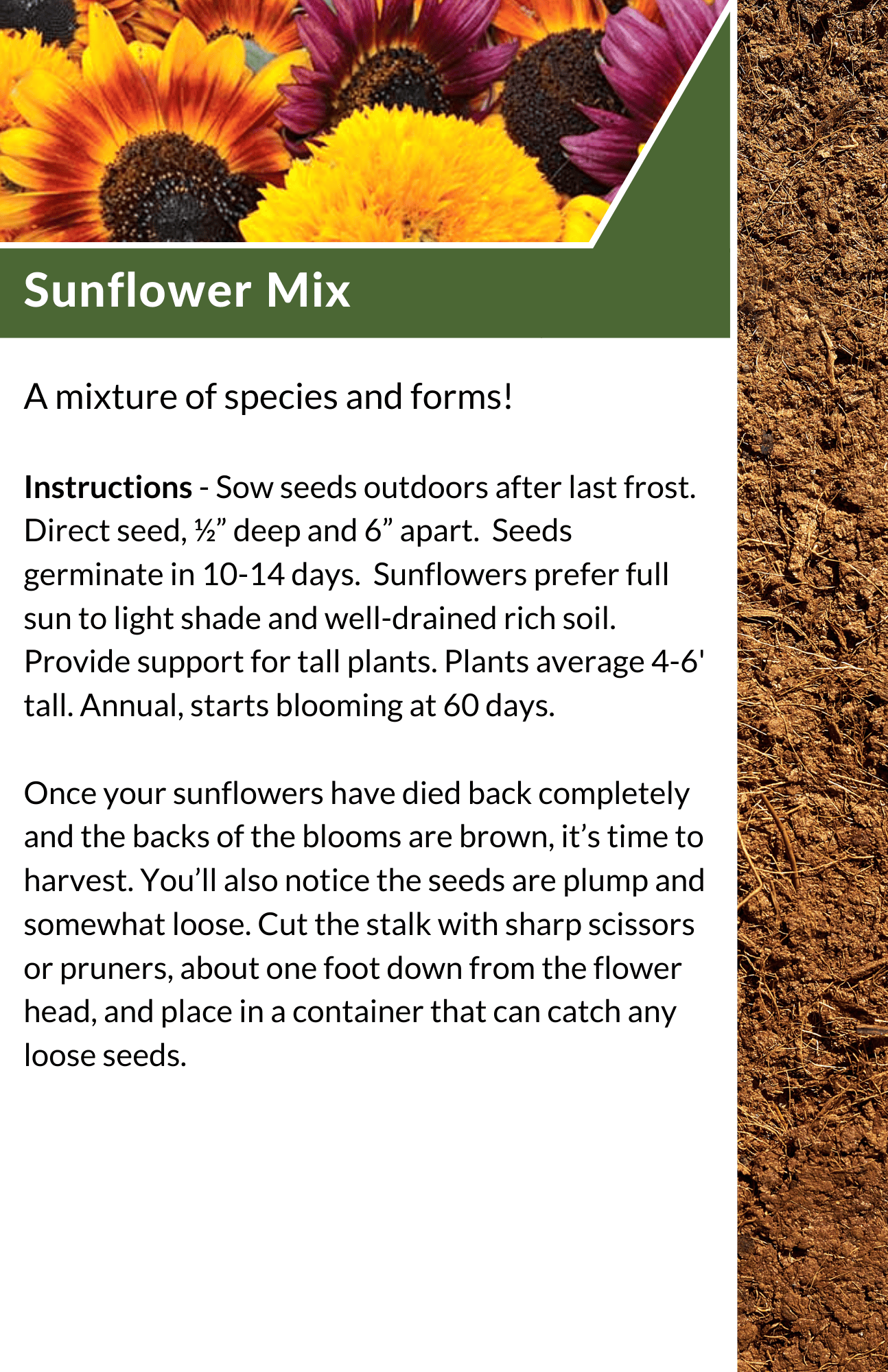 2023 Seed Library - Sunflower Mix