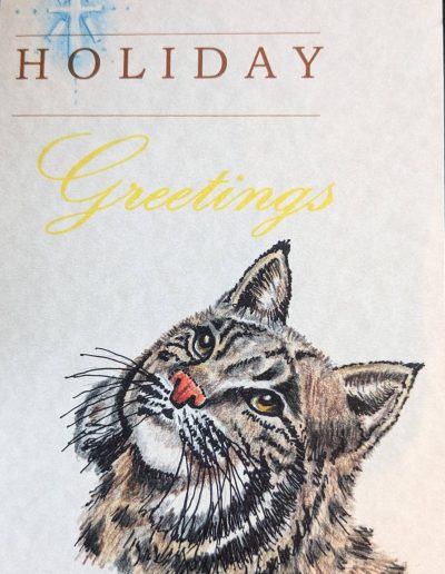 A holiday card showcasing a bobcat's head, adorned with the phrase "Holiday Greetings" in a cheerful font.