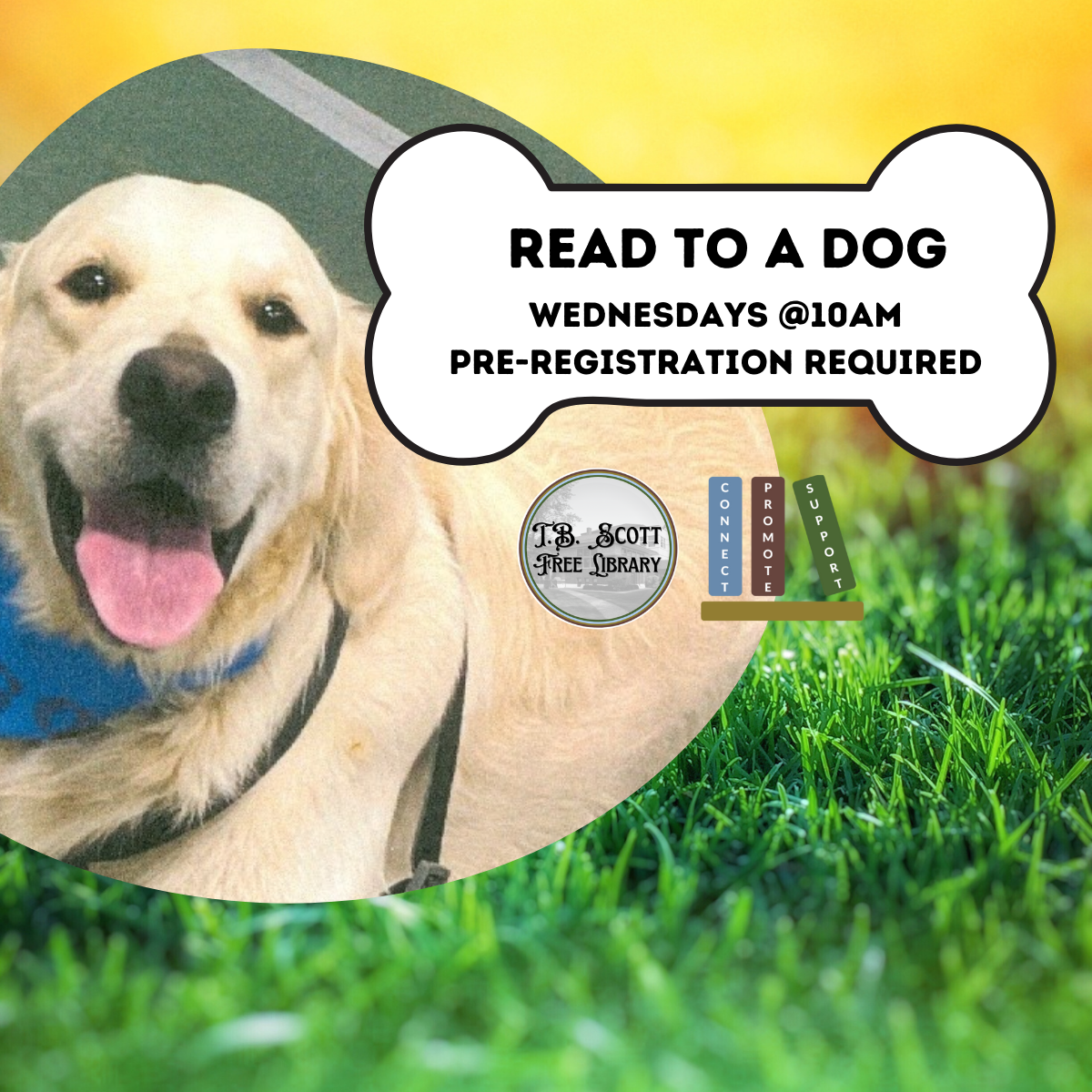 Image of a smiling golden retriever with a "Read to a Dog" event announcement above, set against a grassy background.